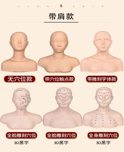 中医针灸头肩部训练模型  5件套