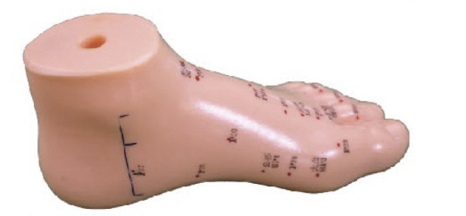 足针灸模型 13CM (代号左脚）