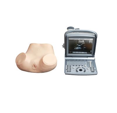 高仿真中期妊娠多种穿刺技能训练考核设备