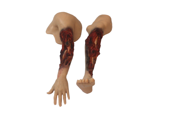 高级创伤四肢模块