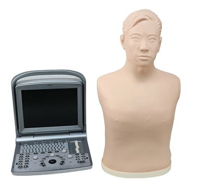 超声引导下胸腔穿刺技能训练模型