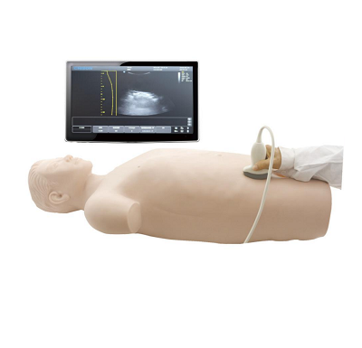 超声引导下腹腔穿刺技能训练模型