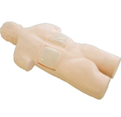 高仿真超声、X线引导经皮穿刺肾镜技能训练模型