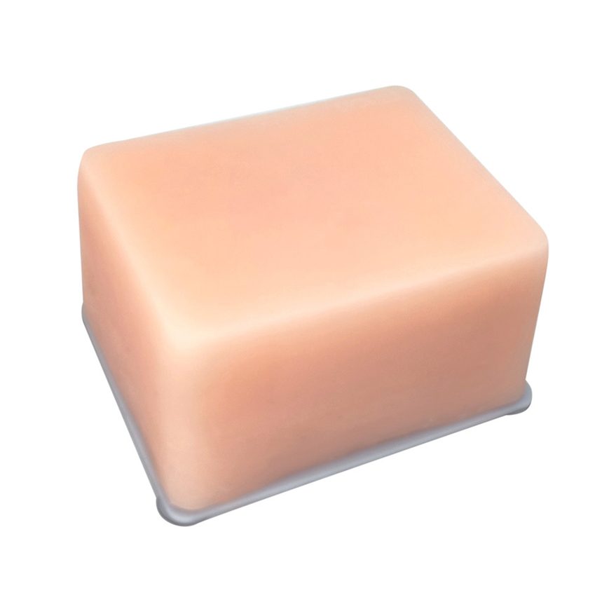 超声引导下深部肿瘤模型