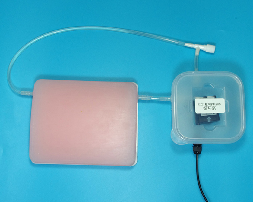 超声引导下血管穿刺模型