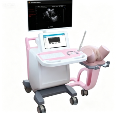 妇科超声诊断虚拟教学系统