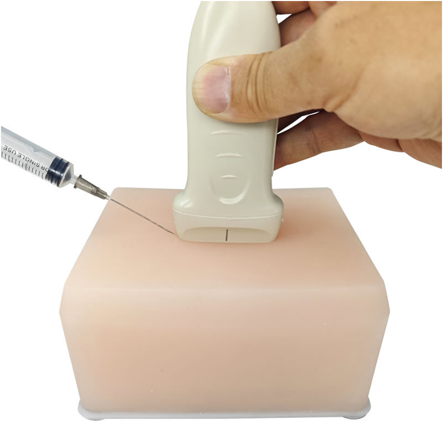 超声穿刺综合模型