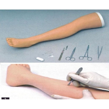 JD/M高级外科下肢缝合训练模型