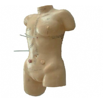 JD/LV18外科缝合包扎展示模型
