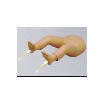 婴儿骨髓穿刺模型