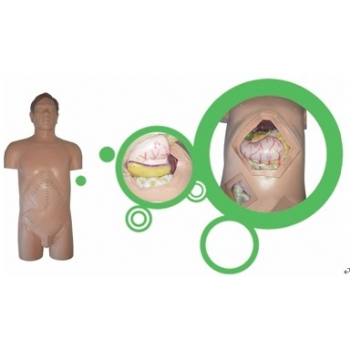 JD-WSS型外科手术技能训练仿真模型