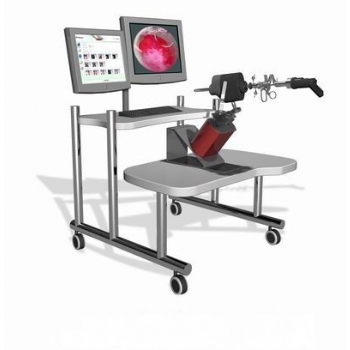 宫腔镜手术模拟教学训练系统