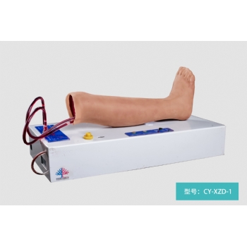 高级电动脉搏式小儿足背动脉穿刺练习模型