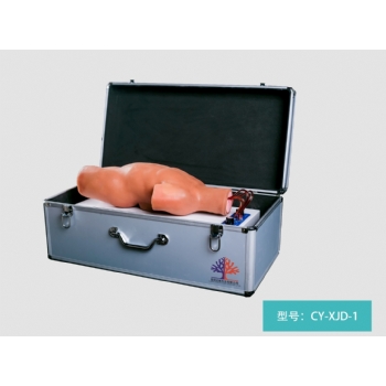 高级电动脉搏式小儿颈动脉穿刺训练模型