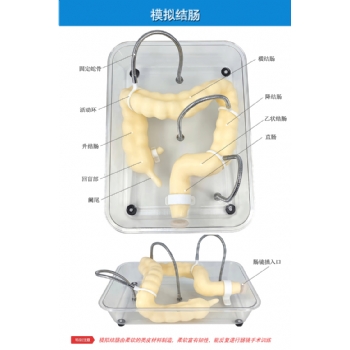 肠镜训练模型