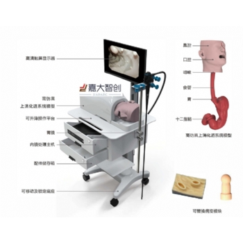 消化内镜诊疗模拟教学培训系统