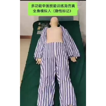 全功能中医模拟训练模拟人